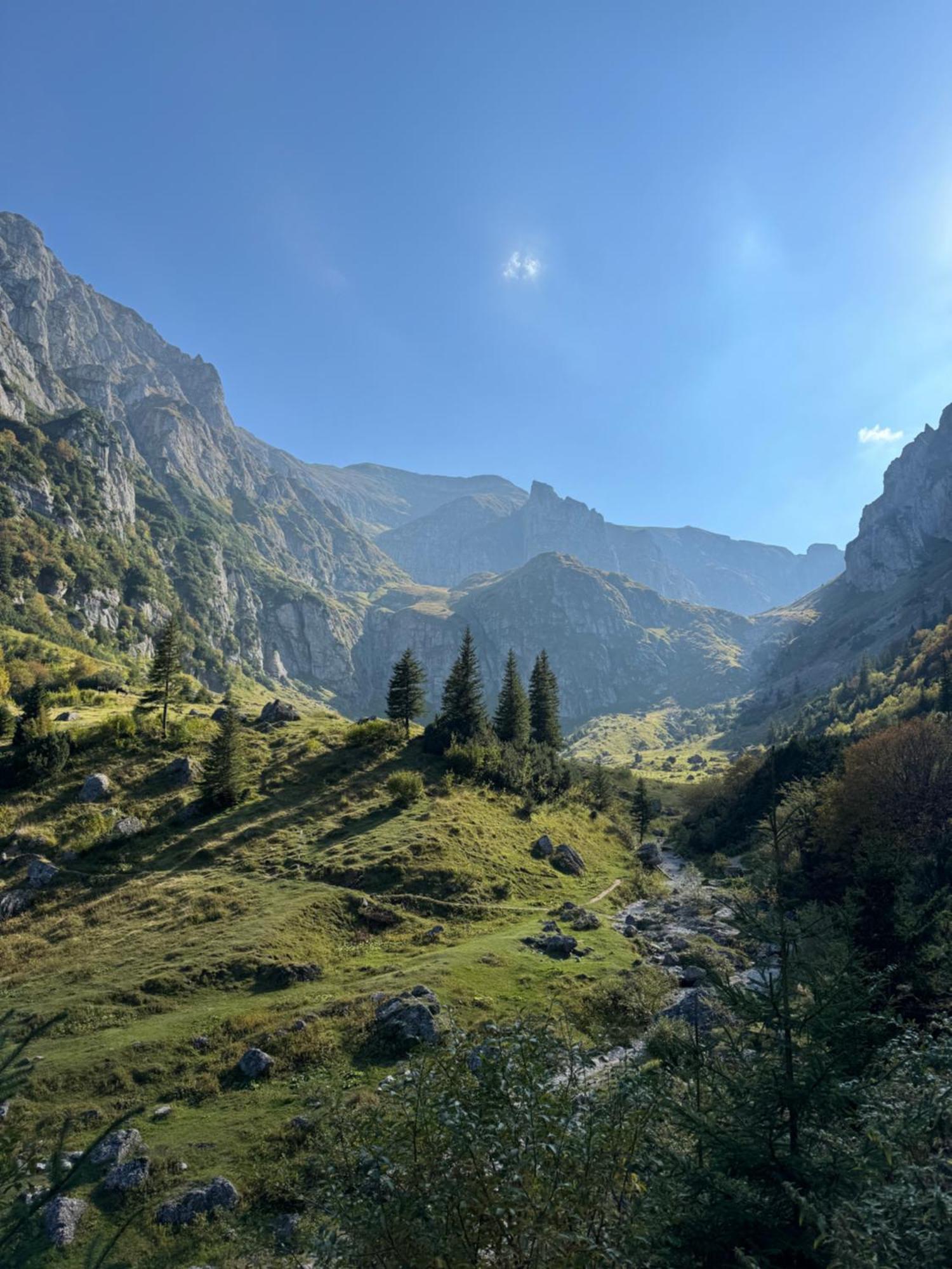 Epic Brasov, Cristian Braşov